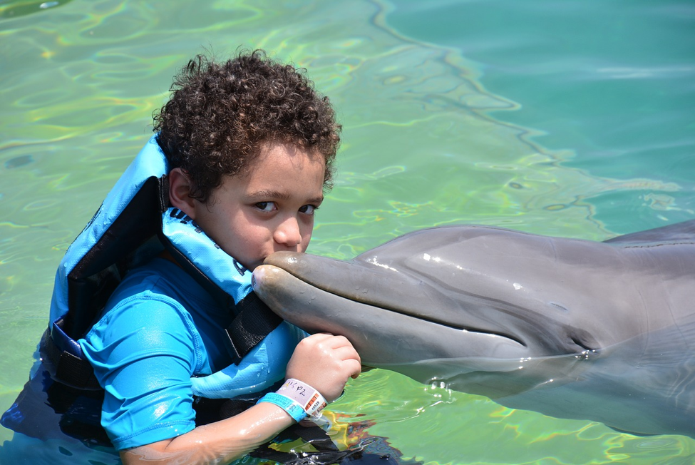 boy in a swim shirt kissing a dolphin